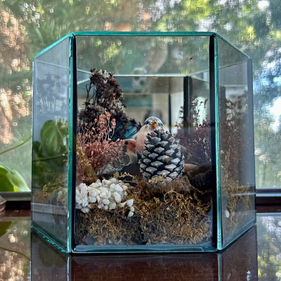 Vintage Terrarium with Moss Composition 6" Glass Planter Decor - Picture 2 of 13